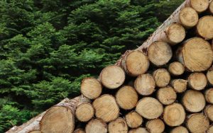 Select the Natural Material