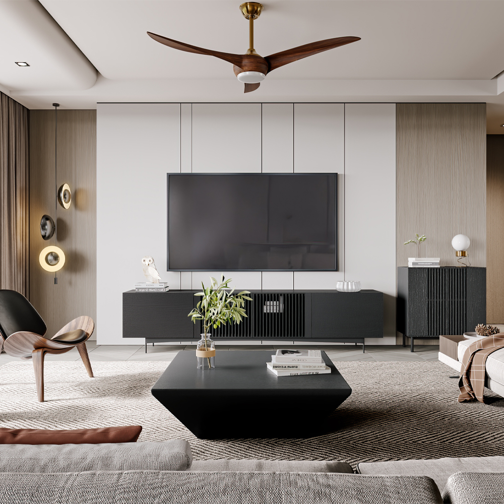 Black Colored TV Console for Living Spaces