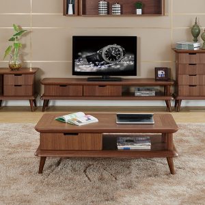 Solid Wood Coffee Table