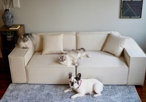 Small Sectional Sofa for Apartment
