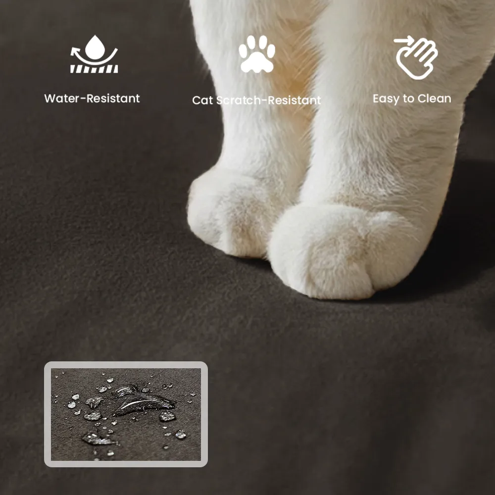 Close-up of waterproof and cat scratch-resistant dark sofa fabric with white cat paws, showcasing easy-to-clean pet-friendly upholstery