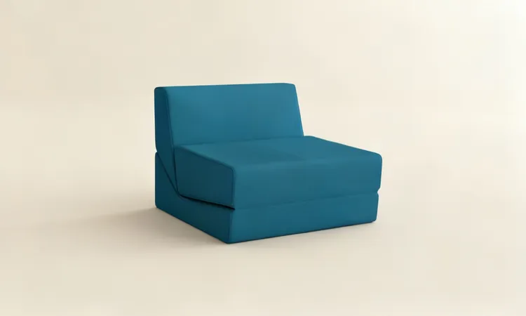 Best Sleeper Sofa POVISON Folding Sofa Bed