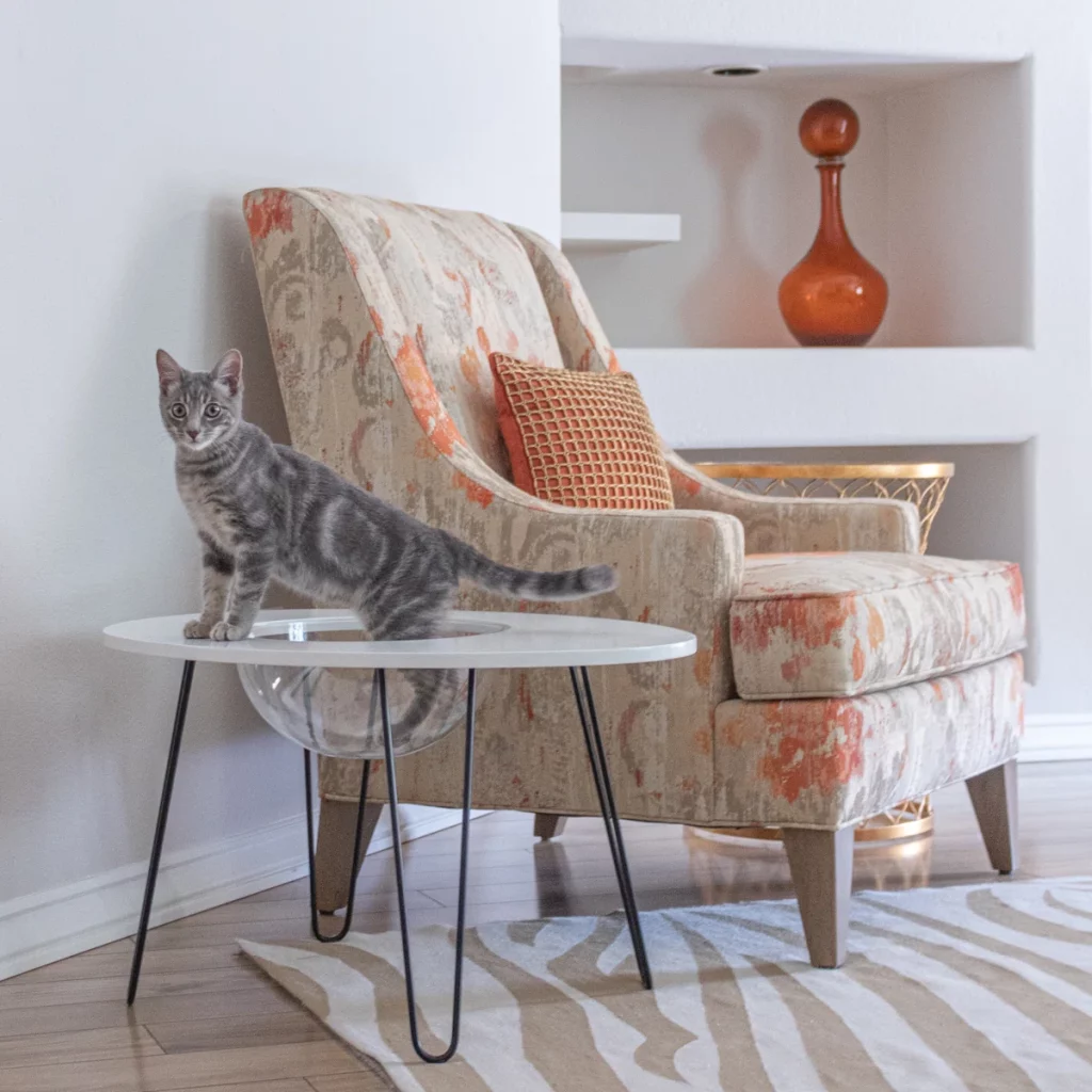 Mid Century Modern Cat Furniture Top 3 Pet Bed