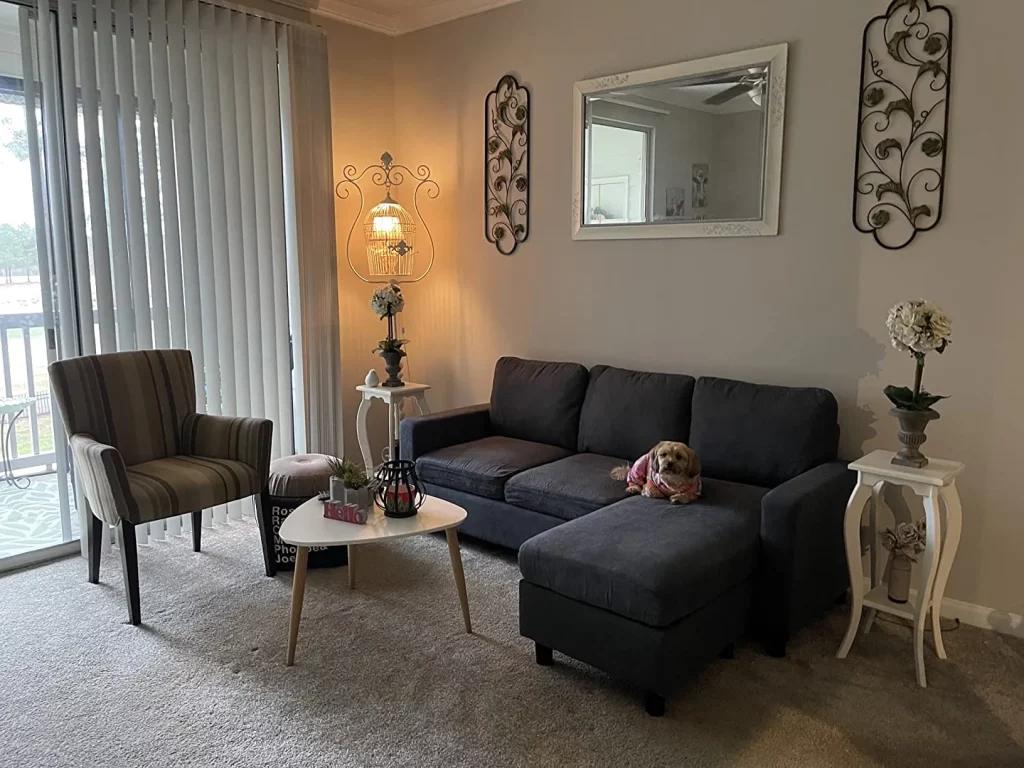Most Comfortable Sectional Sofa With Chaise Styled In a Cozy Corner With Neutral Décor And Natural Light