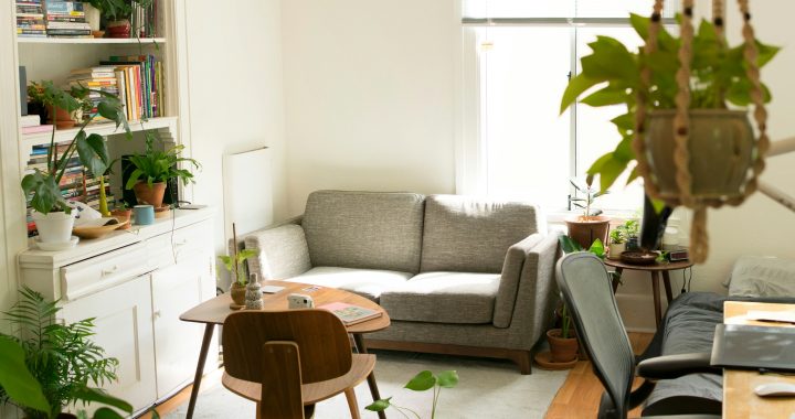 Small living room with gray loveseat, compact dining table and lots of plants