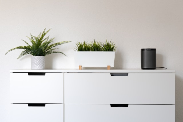 White wooden cabinet with green plant on top in a minimalist interior