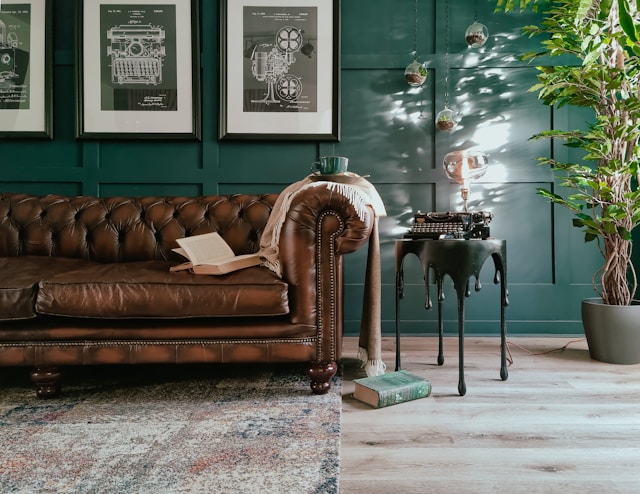 Brown leather Chesterfield sofa with green wall and indoor plants