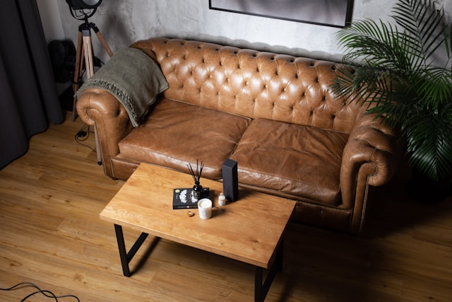 Classic brown leather Chesterfield sofa styled in a cozy modern living room with wooden coffee table and indoor plants