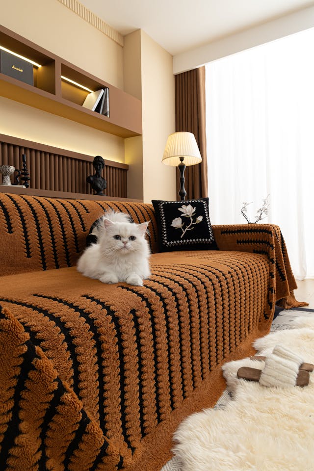 Cozy living room with a cat lounging on a stylish sofa