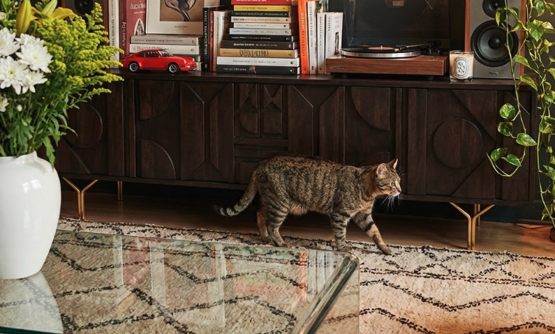 Contemporary dark wood TV stand with geometric patterned doors, topped with books, a turntable, speakers, flowers, and a toy car, as a tabby cat walks by – showcasing bold wood designs in the TV stand materials guide.