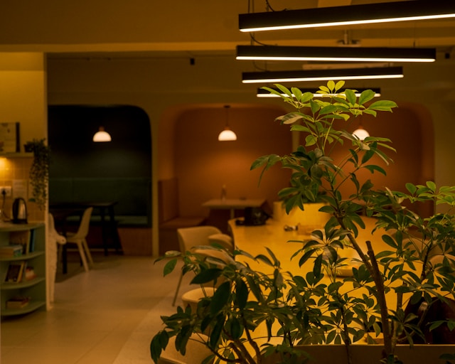 Interior of a modern lounge with plants and warm lighting