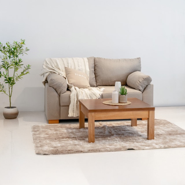 A modern living room with a sofa and coffee table