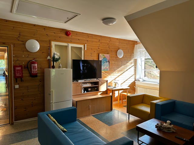 Cozy Scandinavian Living Room with wooden tv stand