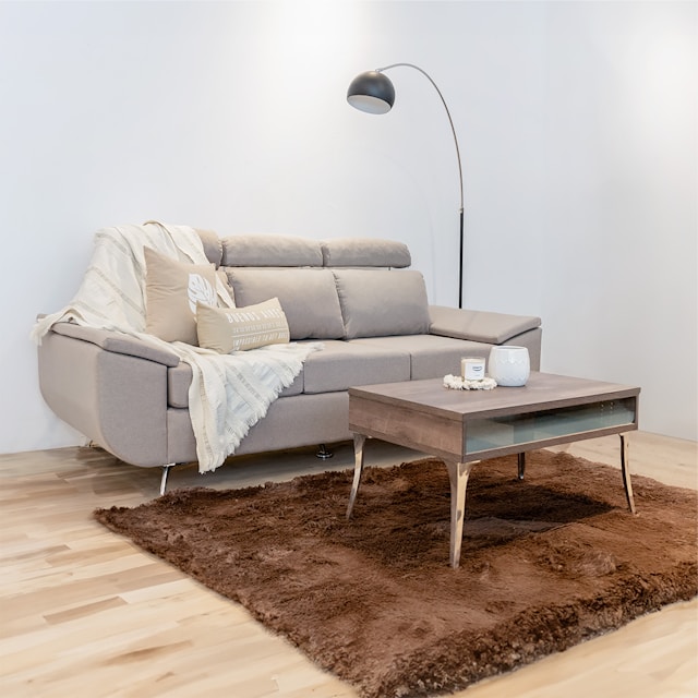 Modern living room with sofa, coffee table, and rug