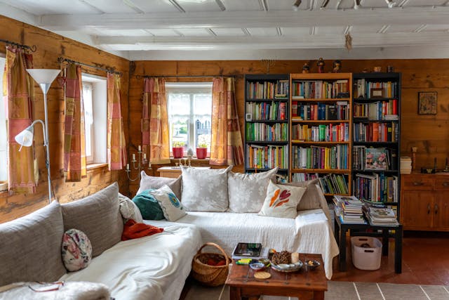 Cozy sofa with Bookshelf behind