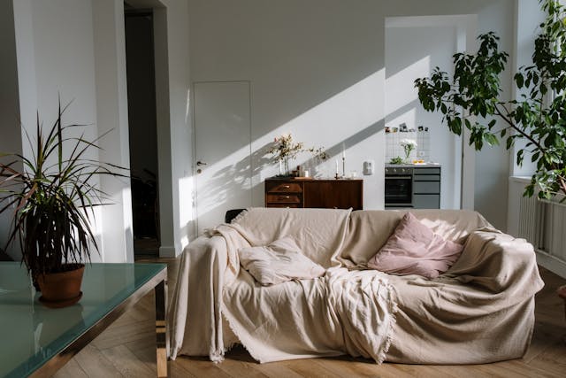 Sofa with Beige Throw in a Modern Apartment