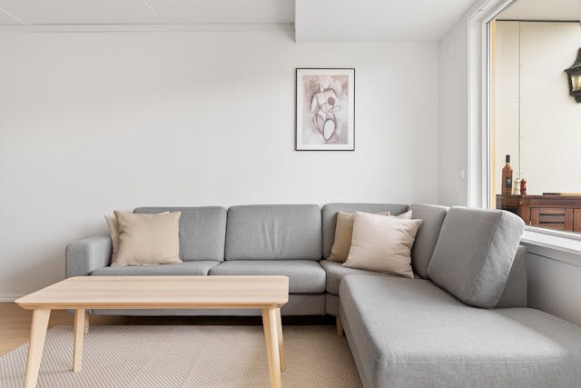 Gray Sofa and a Wooden Coffee Table