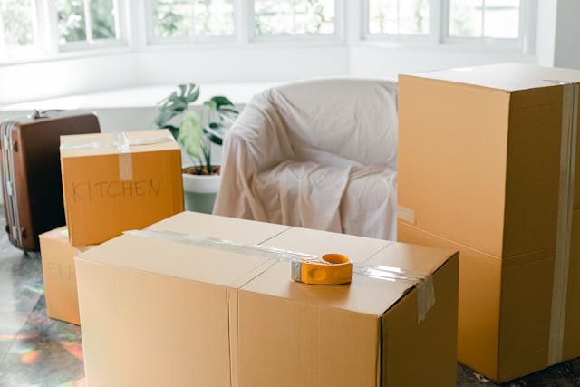 Cardboard boxes in sunlit living room