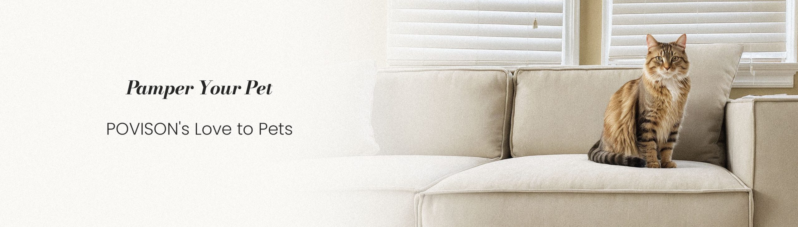 A Cat lounging on a light sofa, highlighting how pet-friendly materials and a dedicated rest spot help reduce trapped fur.