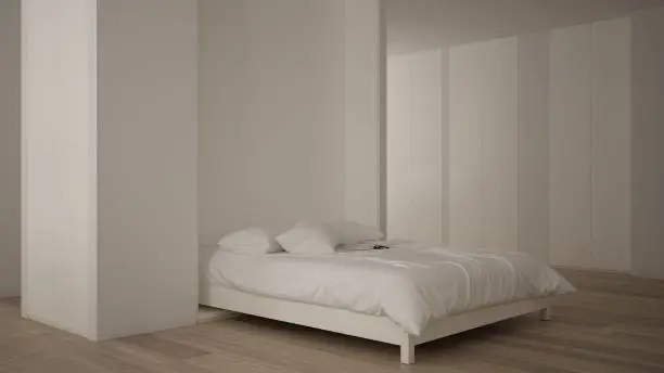 a white murphy bed in the room