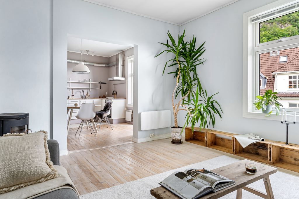 a minimalist living room with a sofa, a wood coffee table and a media console beside a plant next to a dining table in minimalist style
