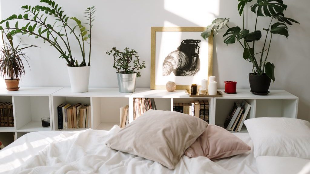 Bright bedroom with indoor plants on a low bookshelf behind the bed, soft pillows, wall art, and natural sunlight.