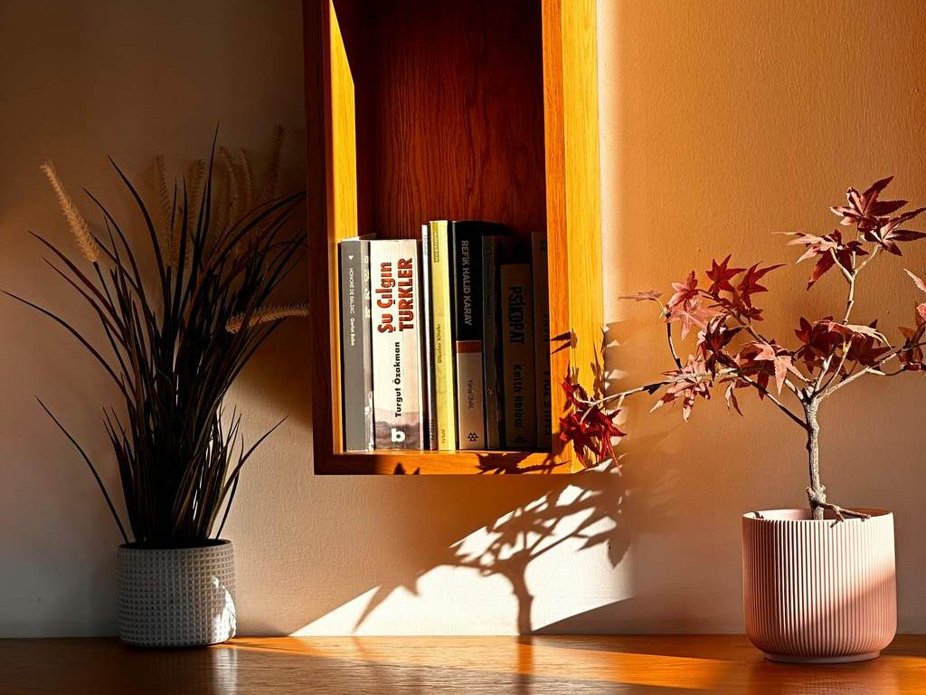 a wood bookshelf with some books beside two plants on a bright console table
