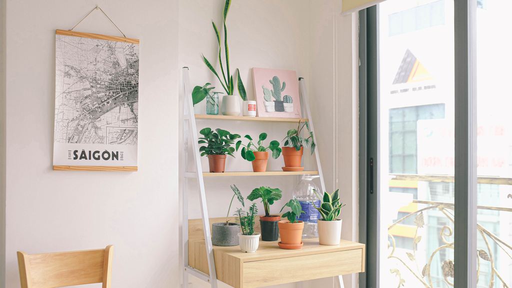 Indoor plant shelf beside a bright window, with potted greenery, light wood storage, wall art, and a small dining chair.