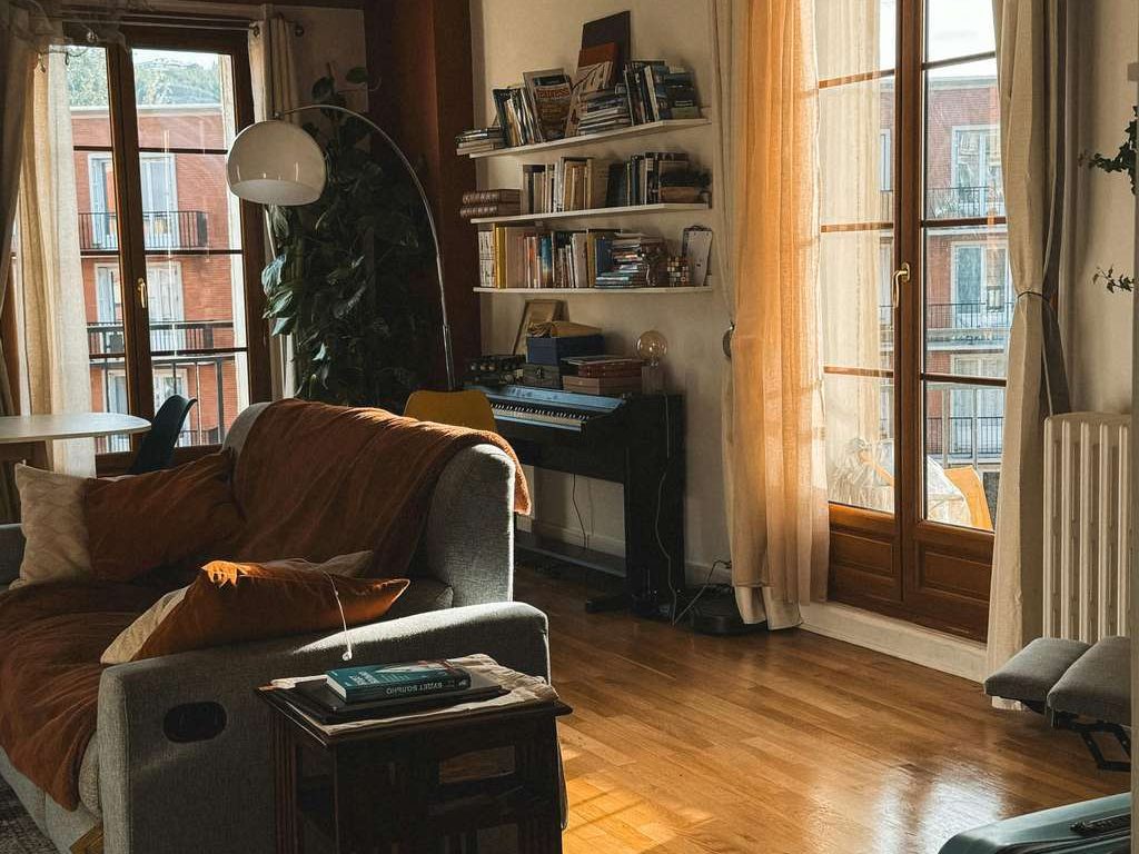 Warm apartment living room with wood floors, gray sofa, sheer curtains, bookshelves, indoor plants, and soft afternoon light.