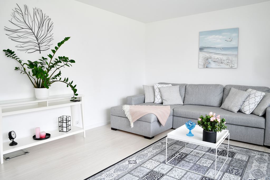 Bright Scandinavian-style living room with a gray sectional sofa, white walls, pale wood flooring, indoor plants, and a slim white coffee table.