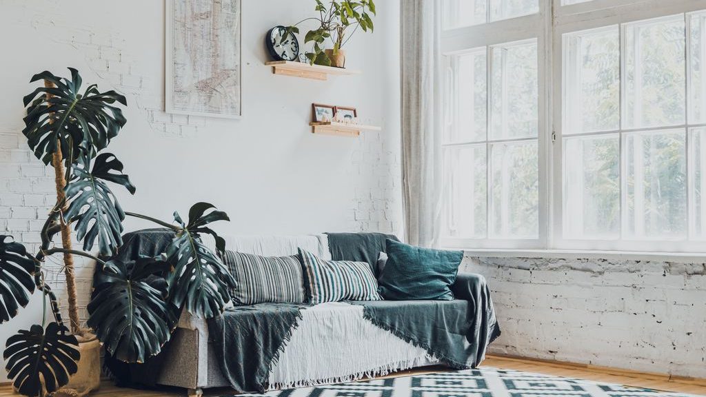 Cozy living room with a gray sofa beside large white-framed windows, layered blue cushions, indoor plants, wall shelves, and a patterned rug.