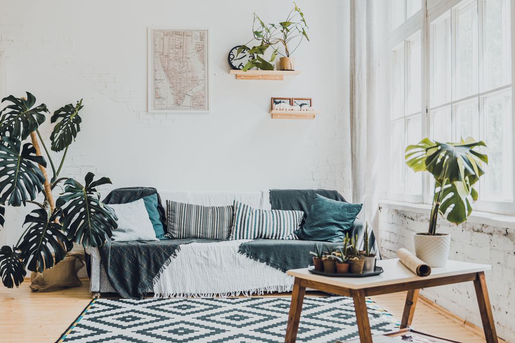 Bright living room with indoor plants around a sofa, coffee table, wall shelves, and large windows for a fresh natural home decor look.