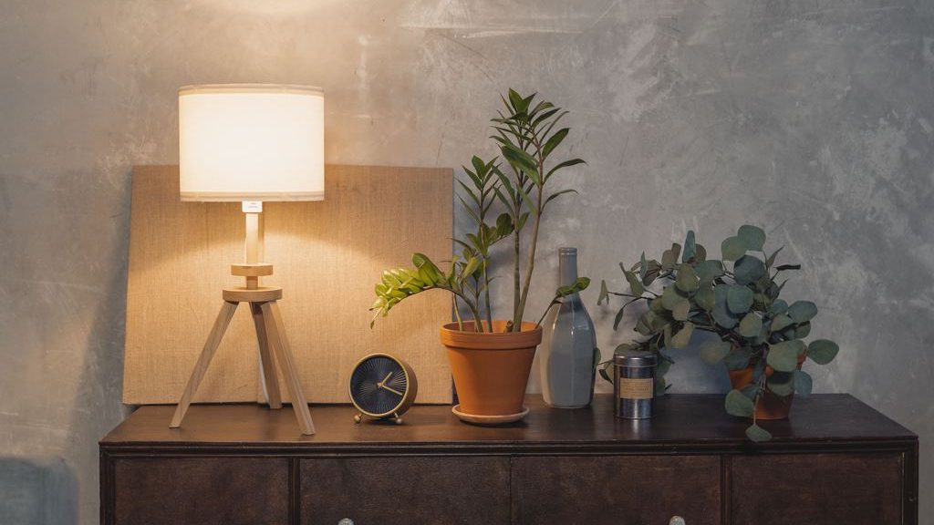 Dark console table styled with indoor plants, a table lamp, decorative vases, and warm lighting against a textured gray wall.