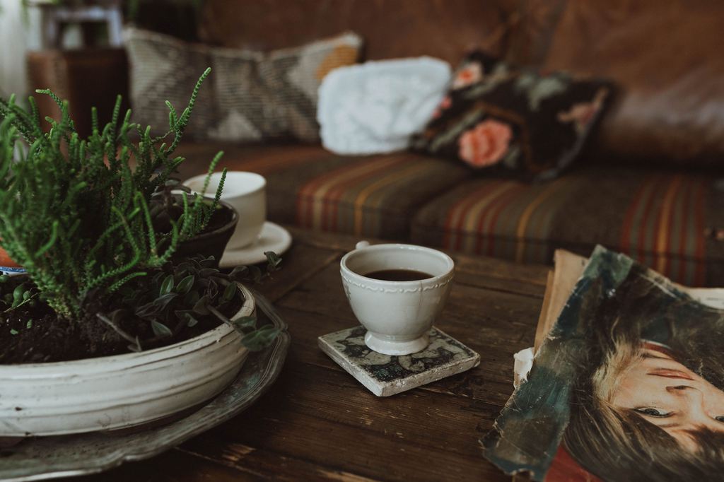 Rustic coffee table with potted greenery, ceramic cup, vintage book, and layered textiles in a warm, lived-in living room.