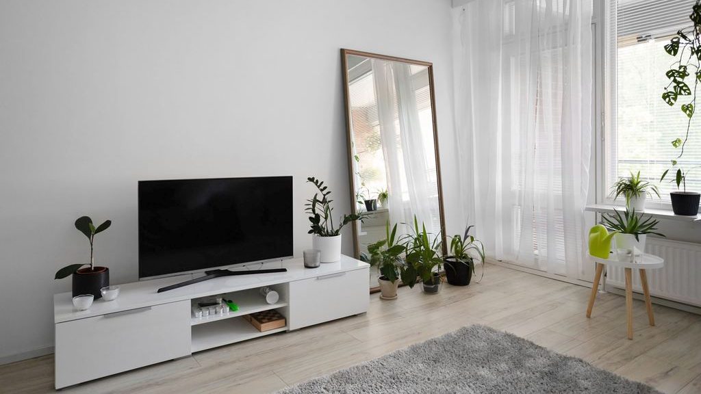 Bright minimalist living room with a white TV stand, full-length mirror, sheer curtains, indoor plants, and pale wood flooring.