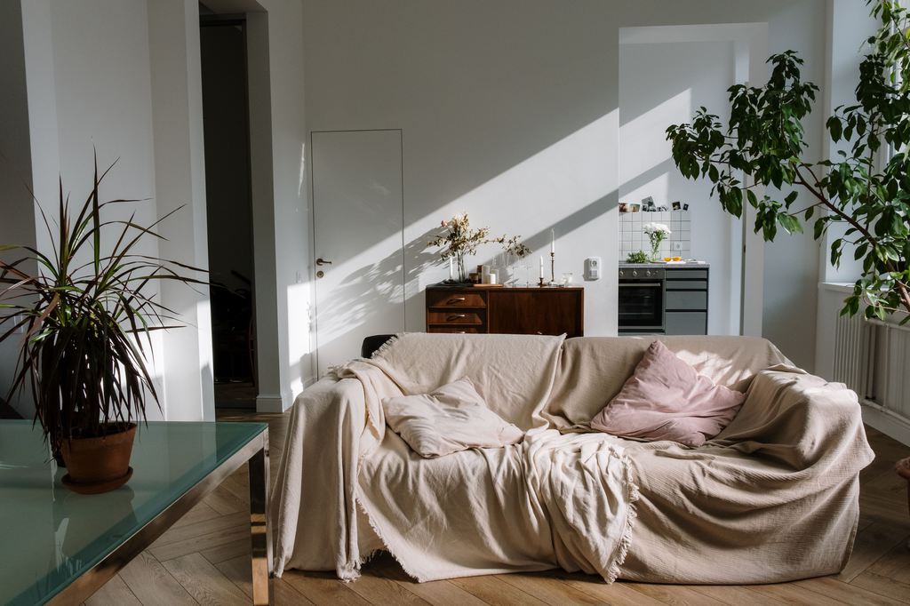 Sunlit living room with a cream-covered sofa, blush pillows, leafy houseplants, a mid-century sideboard, and an open kitchen in the background.