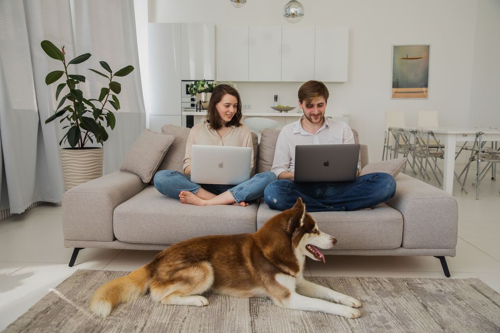 Couple working on laptops while sitting on a gray sofa with a dog in a bright modern living room.