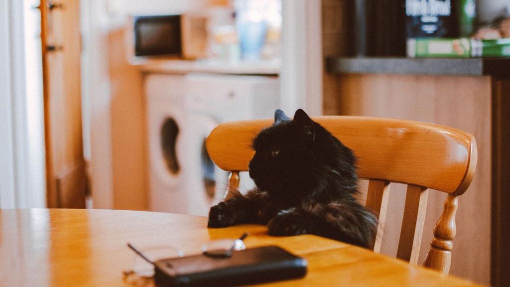 Black cat sitting on a wooden chair beside a dining table in a cozy kitchen.