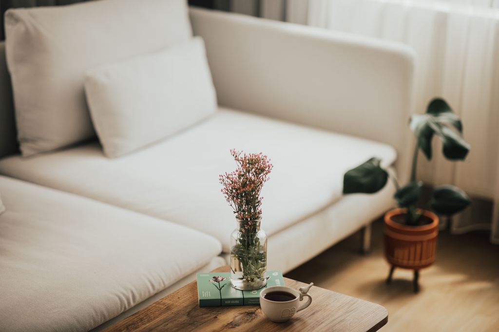 White sofa in a bright modern living room with a wood coffee table and indoor plants.