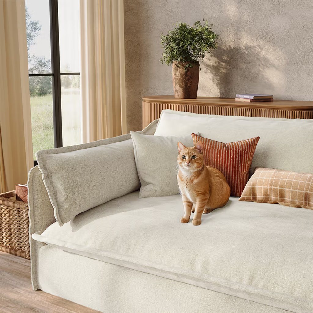 Cream sofa with an orange cat in a bright living room with warm neutral decor and wood accents