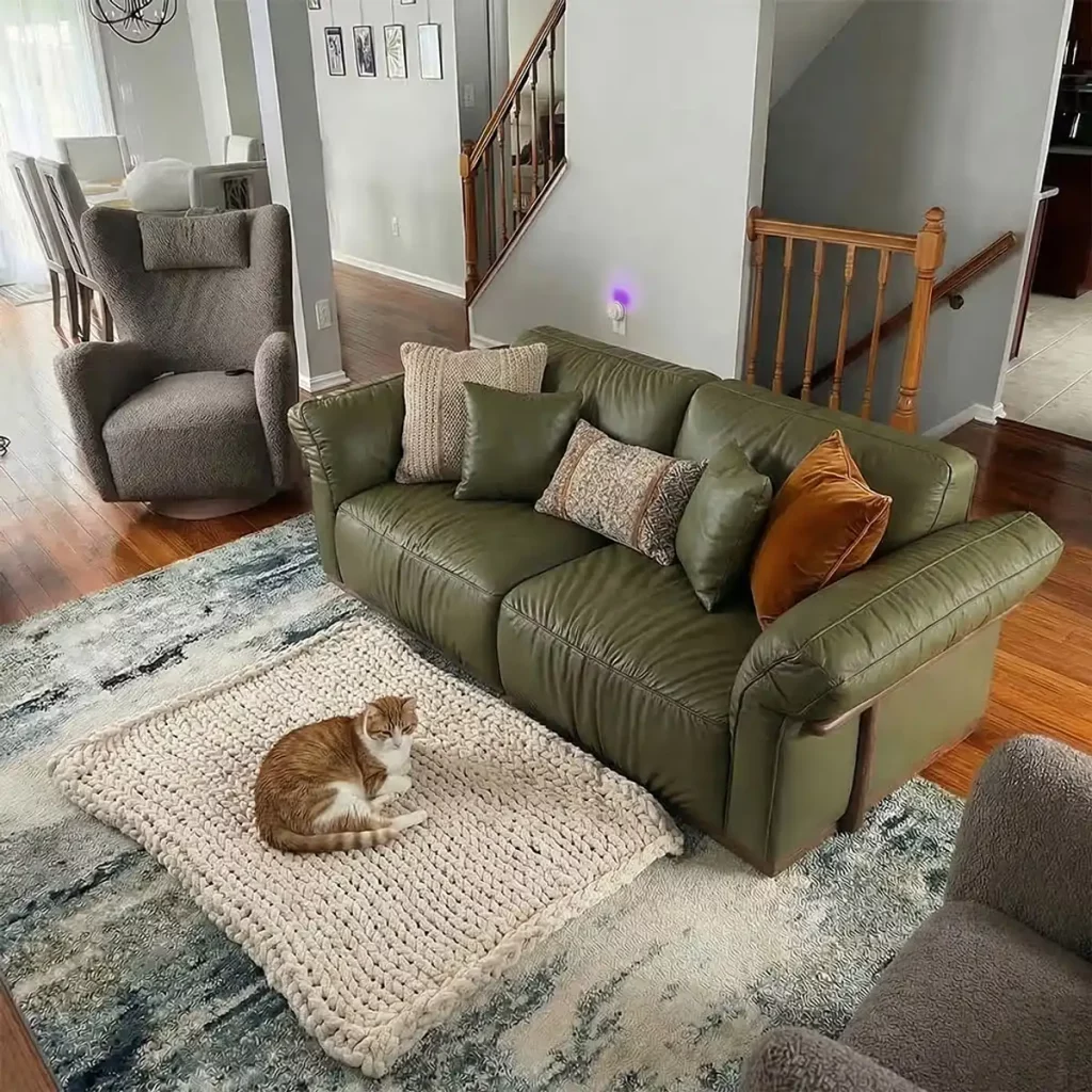 Cat resting beside a green leather sofa in a cozy living room.