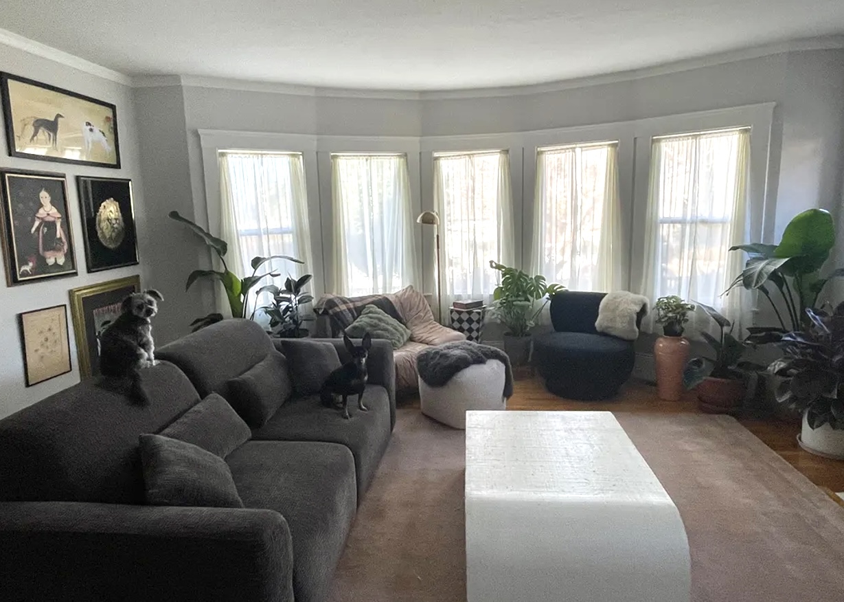 Aurora sofa bed from customer review- with pets on sofa