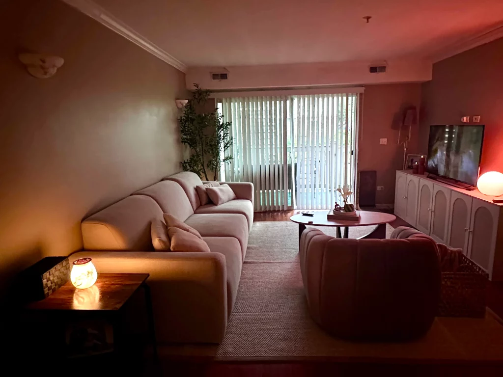 Aurora sofa bed from real customer review-sofa in a modern living room