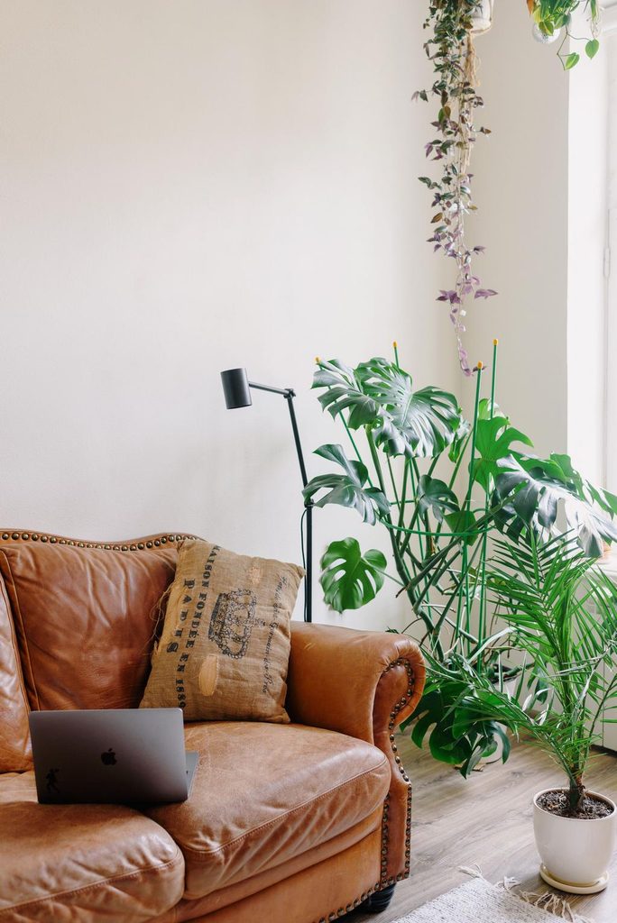 Brown leather sofa with natural wrinkles and creases on the seat cushions and armrests in a bright living room with green plants.